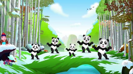 Finger Family Panda | ChuChu TV Animal Finger Family Songs & Nursery Rhymes For Children