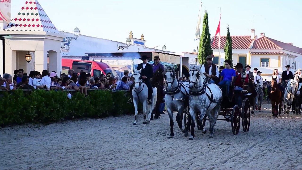 Golegã 2015