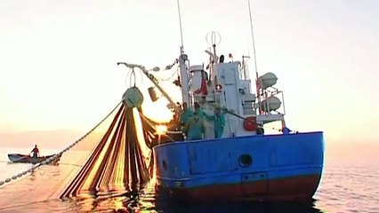 جهة وادي الذهب لكويرة