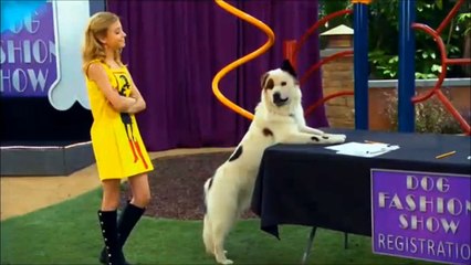 Dog With A Blog Dog on a Catwalk Promo