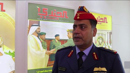 Yemen war needs to adapt to guerrilla fighting: UAE military