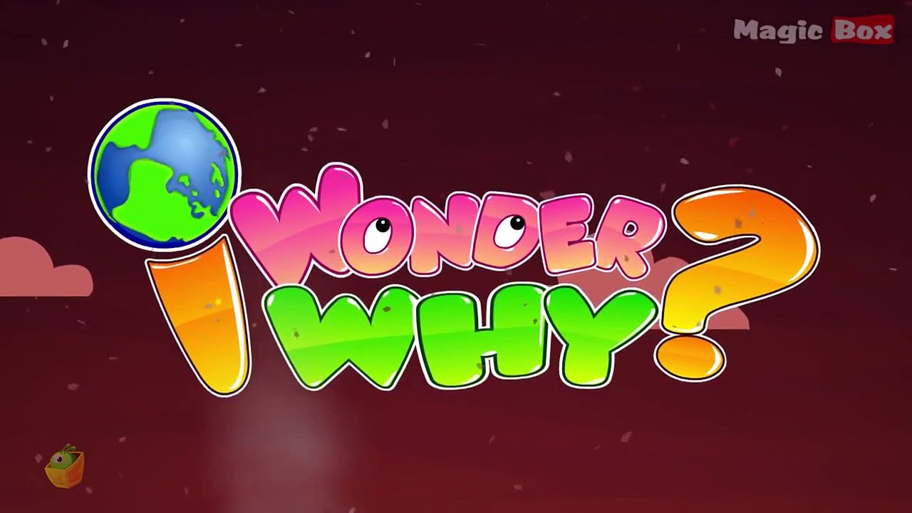 Why Do Volcanoes Erupt? - I Wonder Why - Amazing & Interesting Fun Facts Video For Kids