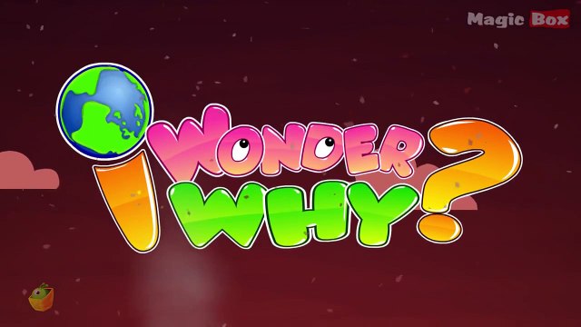 Why Do Volcanoes Erupt? - I Wonder Why - Amazing & Interesting Fun Facts Video For Kids