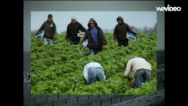 Let’s end slavery by helping with farmworkers!
