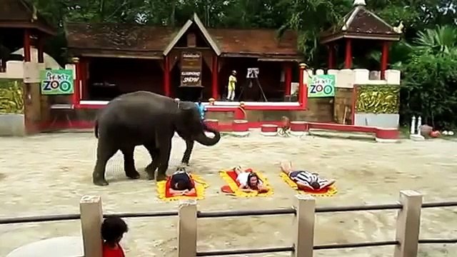 Рисковые развлечения в Таиланде