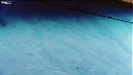 ME 262 shot down Spring 1945