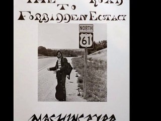 Machingbyrd "A Thrill In Disguise" 1980 US Acid Folk
