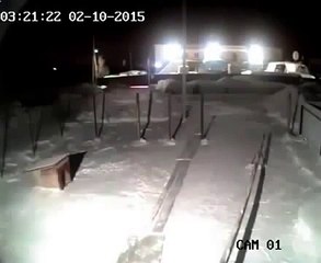 Wolf dragged the dog off the chain