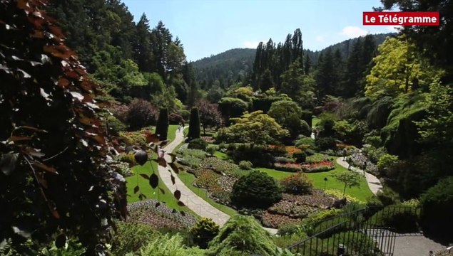 Butchart Gardens, du ciment à la roseraie