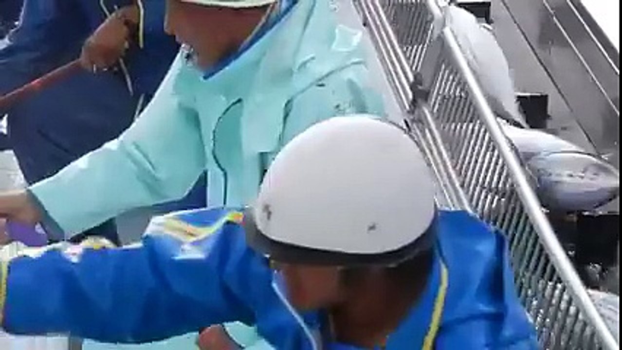 Mega fishing