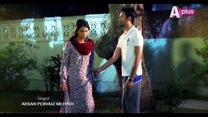 bheeghi palkein full ost--drama song-dailymotion-faisal quraishi-ushna shah