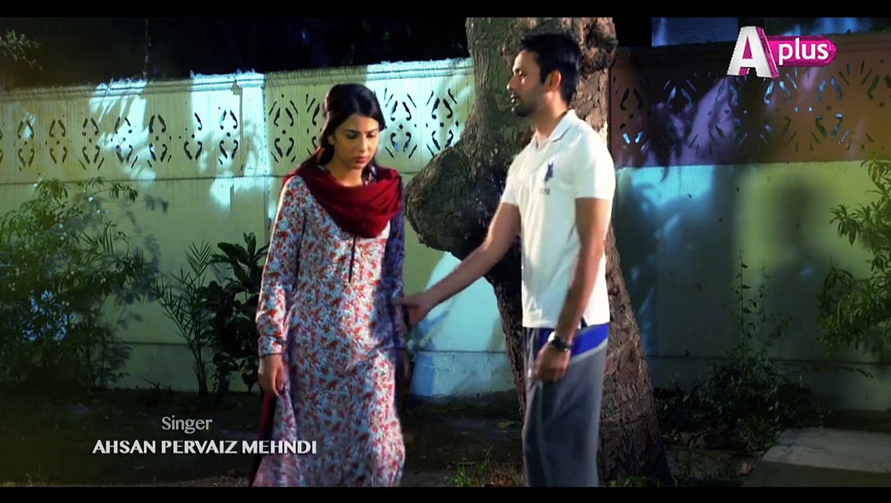 bheeghi palkein full ost--drama song-dailymotion-faisal quraishi-ushna shah