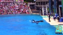 San Diego SeaWorld announces the end of killer whale shows by late 2016