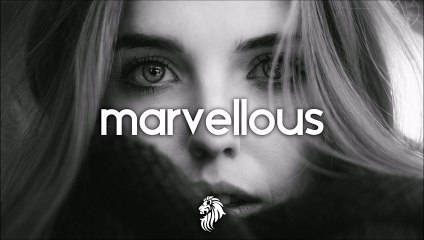Adele - Hello (Paul Damixie Remix)