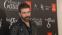 El cine catalán homenajea a Antonio Banderas, que aborda el conflicto independentista 