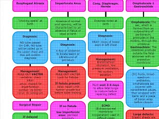 [ medical social ] PEDIATRIC SURGERY AT BIRTH