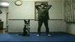 Dog exercising with master