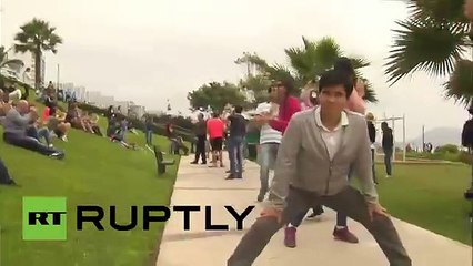 Perro en patineta batió Récord Guinness