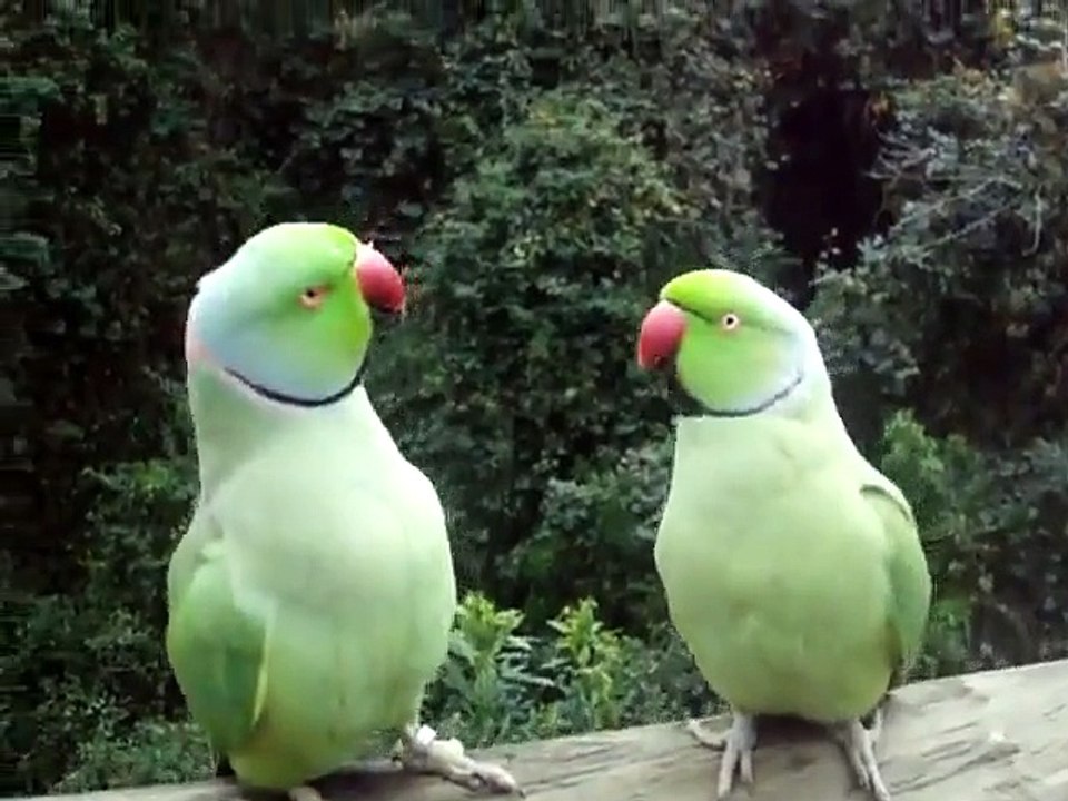 test02