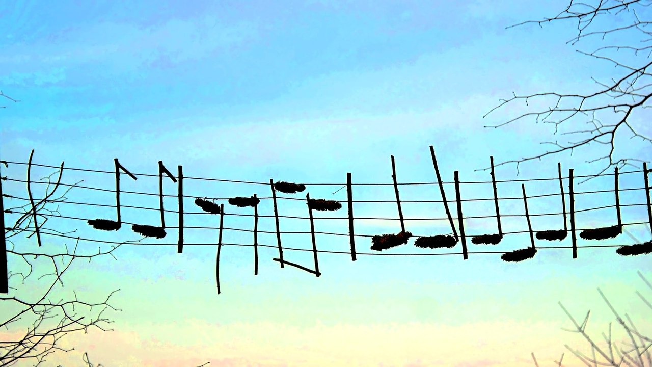 Ars Natura am Heiligenberg (Bilder einer Ausstellung)