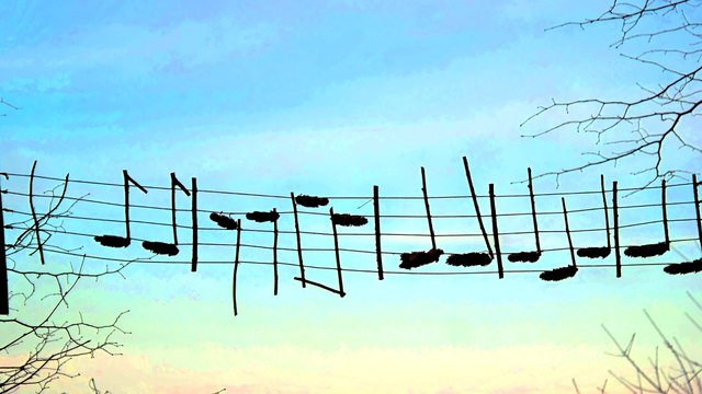 Ars Natura am Heiligenberg (Bilder einer Ausstellung)