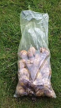 Comment éplucher 1 sac de pommes de terre en moins d'une minute !