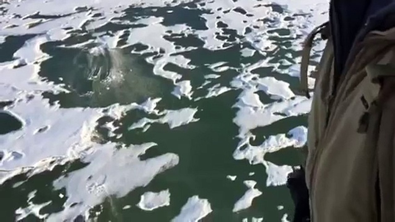 Spinning Bullet on Ice