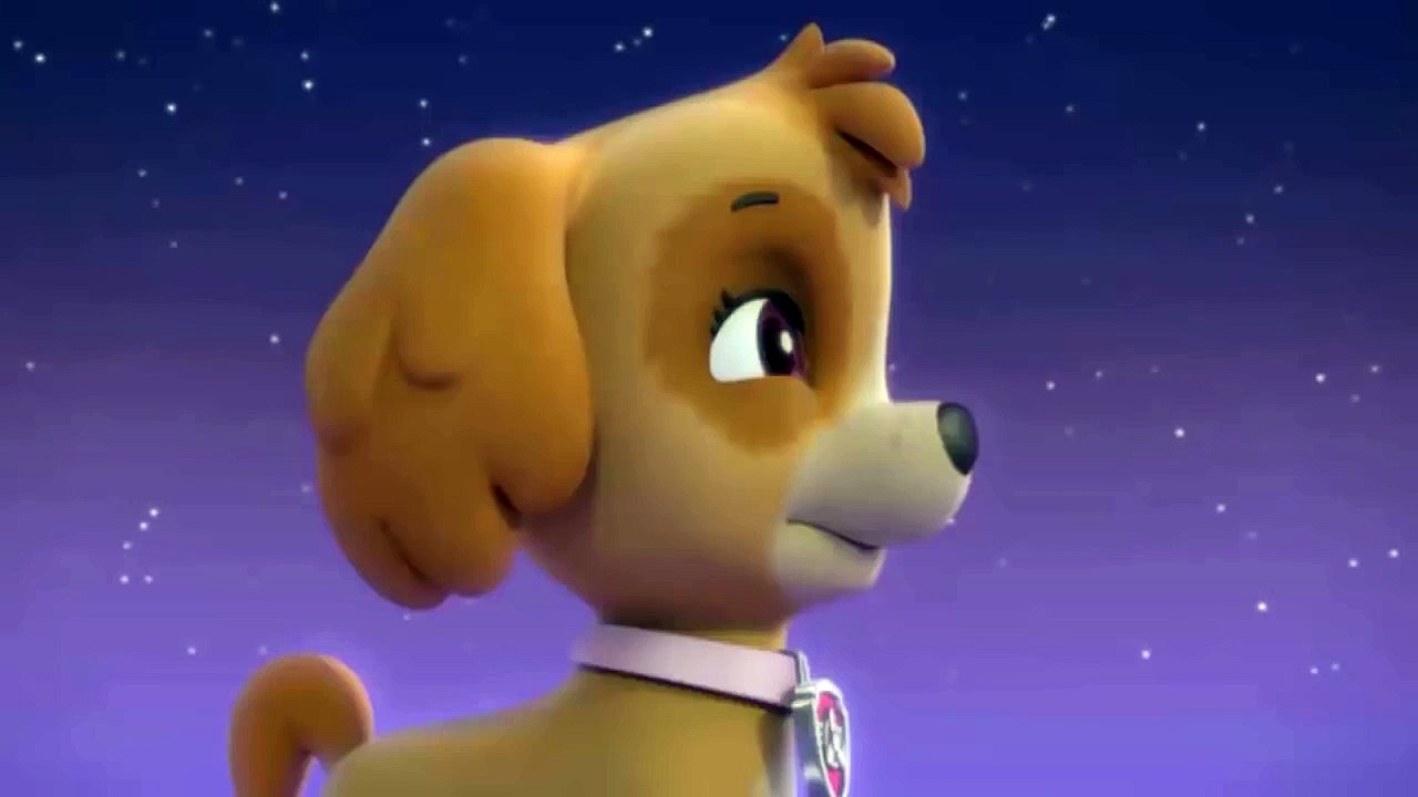 Paw Patrol Pups save a MER PUP 1 clip