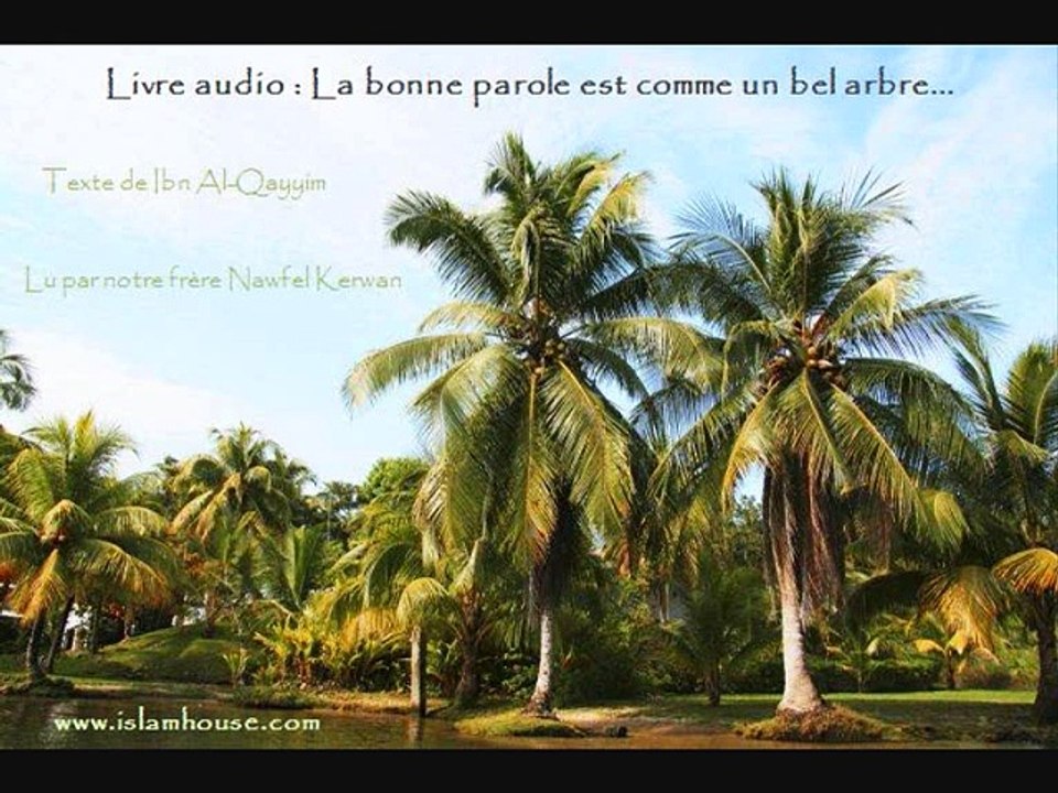 Livre audio - La bonne parole est comme un bel arbre...