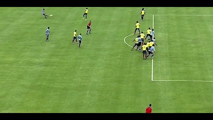 Edinson Cavani Goal ~ Ecuador vs Uruguay 1-1