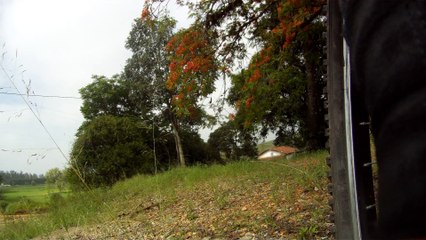 passeios de Mountain bike nas várzeas do Vale do Paraíba, trilha das fazendas, 2015