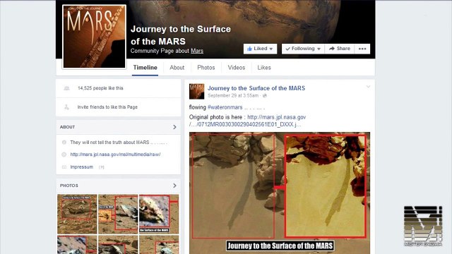 Mars Mysteries: Insect Like Creature Seen On Mars By Curiosity Rover. -Mars Alien-