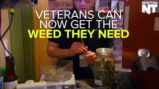 veterans can now get the weed thay need