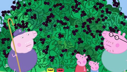电视节目 Peppa Pig - The Blackberry Bush (Clip) 小朋友
