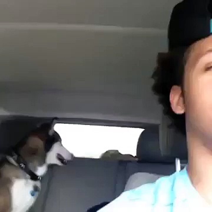 Funny Short Vines 15