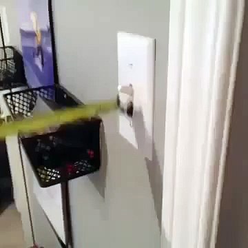 LAZY PEOPLE BE LIKE Best Funny Vine Videos The Greatest Vines By Cameron