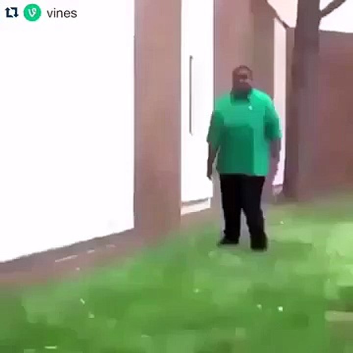 Short Vines 2015 #2