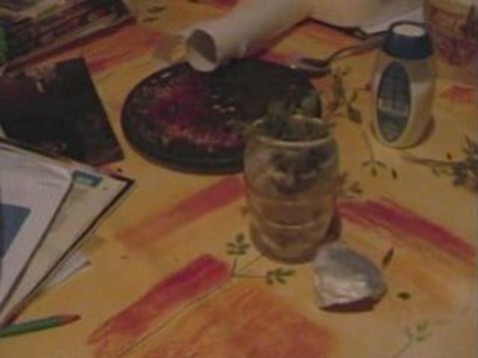 Pixilation de thibault