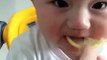 Child eating sour lemon funny