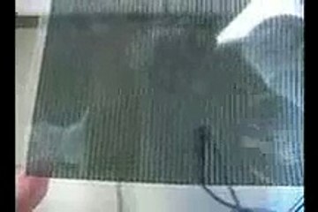 Animated Illusion, Solved!