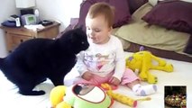 Cats Love Babies Compilation Кошки любят Младенцев Компиляция
