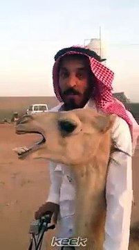 VID-20151101-WA0017.mp4