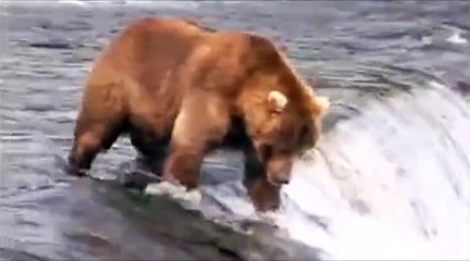 Just another day at the office