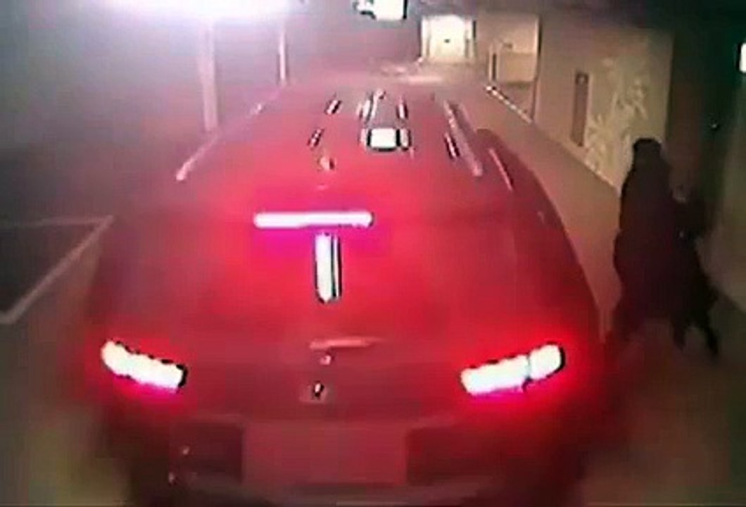 is that surprise - Genius Vines