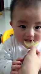 baby first time tries lemon - FUNNY FACE