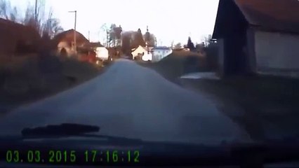 Just a random Guy walking his Dog wait, what! - YouTube