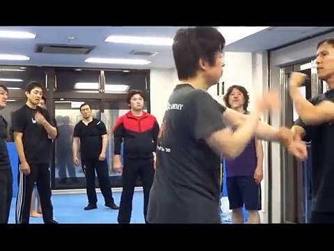 Técnicas de Jeet Kune Do