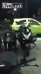 LiveLeak Hey dog! what are you doing