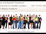 Eyebrow and Eyelash Treatment Short Courses in Camden London | http://www.academy.lifewide.org/