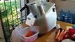 Máy cắt khoai tây, máy cắt khoai tây chiên, máy cắt sợi cắt lát cà rốt củ cải làm gỏi, máy cắt củ quả đa năng